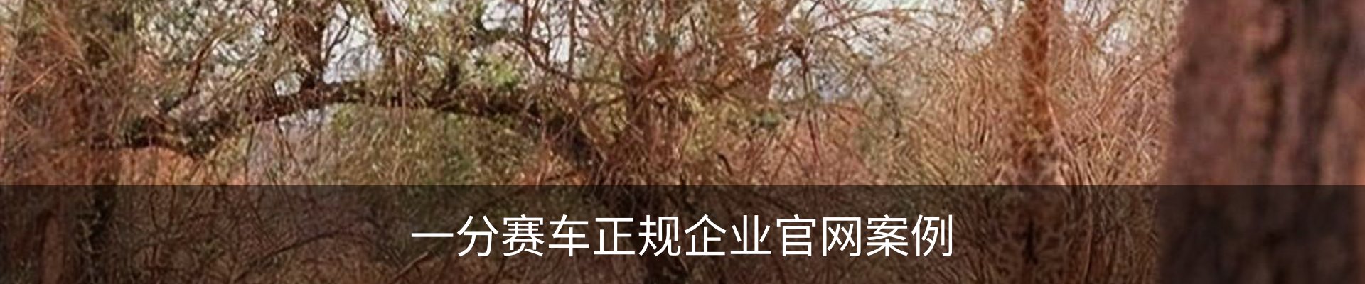 一分赛车正规企业官网案例